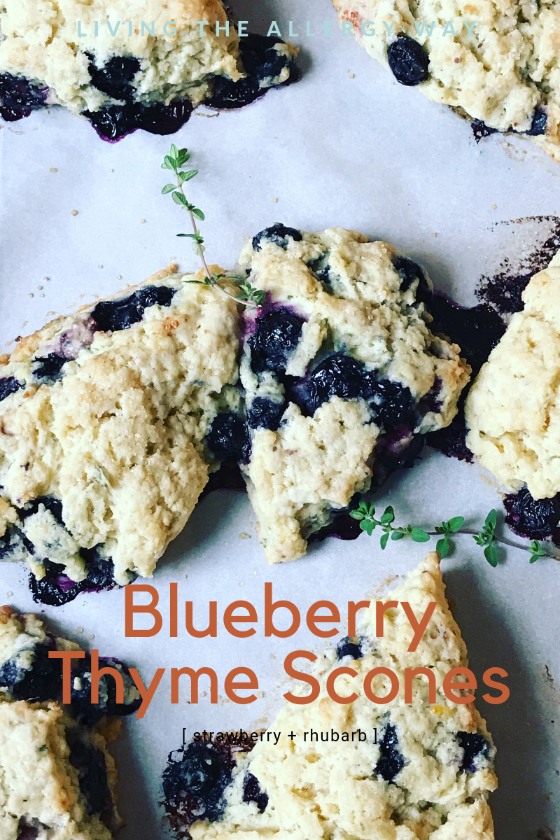 Lemon Blueberry Thyme Scones » Living the Allergy Way